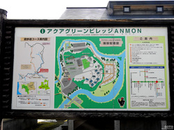 _RnANMON}bv