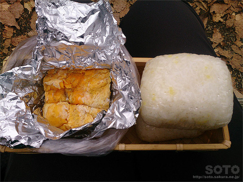 奥日光ハイキング(お弁当)