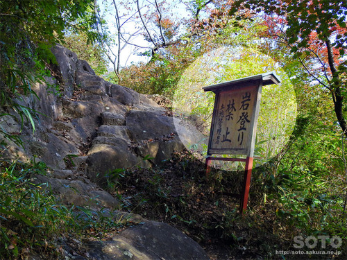 嵩山(登山道03)