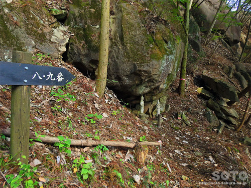 嵩山(登山道05)
