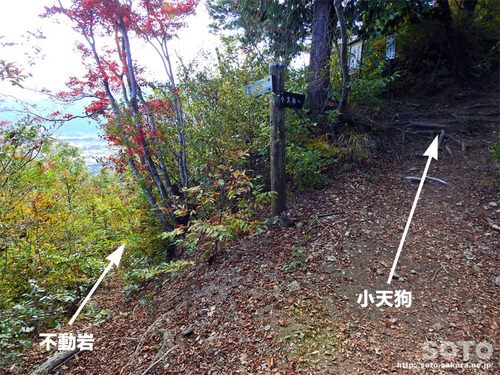 嵩山(登山道06)