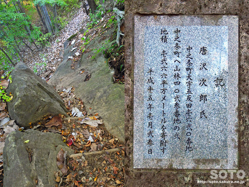 嵩山(登山道07)