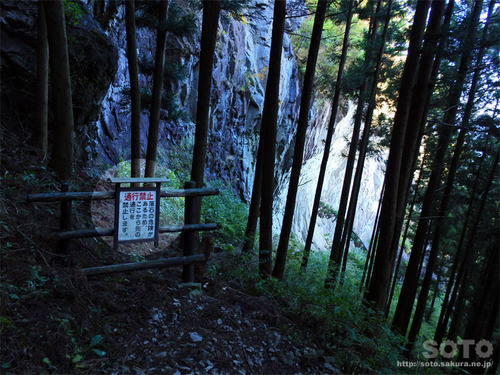 嵩山(登山道11)