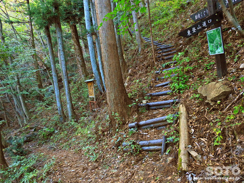 嵩山(登山道14)