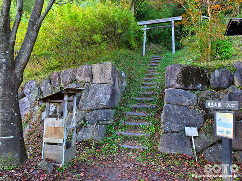 嵩山(東登山道入口)