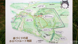 フレペの滝遊歩道(100m2運動)