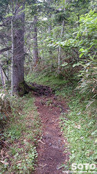 平山登山(1)