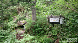 平山登山(2)