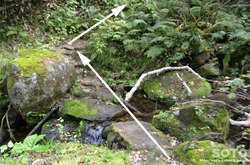 愛山渓沼の平(また川を渡る)