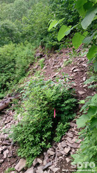 平山登山(5)
