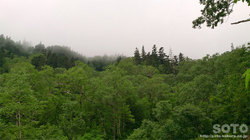 平山登山(6)
