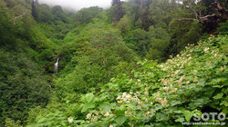 平山登山(12)