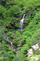 平山登山(13)