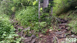 平山登山(20)