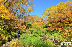 高原温泉沼(森林)