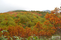 愛山渓沼の平(永山岳登山道の紅葉)