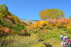 高原温泉沼(紅葉)