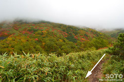 愛山渓沼の平(永山岳登山道の紅葉を眺めつつ)