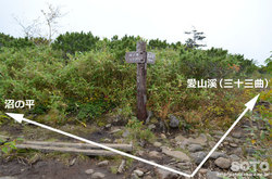愛山渓沼の平(分岐4)