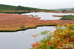 愛山渓沼の平(沼と野鳥)