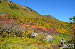 高原温泉沼(三笠新道分岐)
