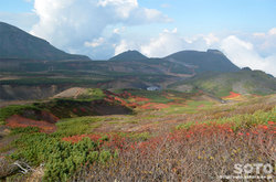 銀泉台-黒岳縦走(北海岳-黒岳4)