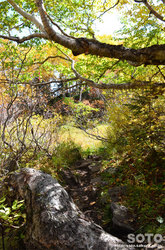 高原温泉沼(登山道)