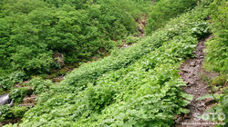 平山登山(23)