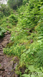平山登山(24)