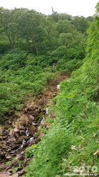 平山登山(26)