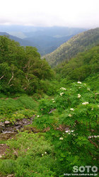 平山登山(29)