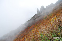 秋の黒岳登山(3)