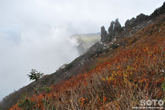 秋の黒岳登山(6)