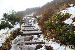 秋の黒岳登山(8)
