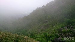 平山登山(30)