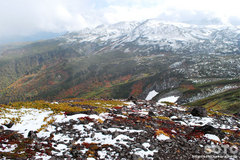 秋の黒岳登山(10)