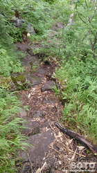 平山登山(32)