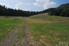白湯山自然観察路(ゲレンデ)