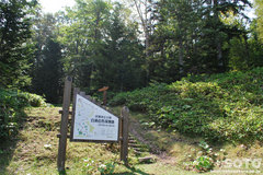 白湯山自然観察路(1)