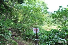 白湯山自然観察路(11)