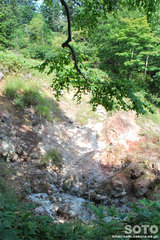 白湯山自然観察路(12)