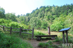 白湯山自然観察路(13)