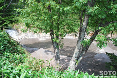 白湯山自然観察路(14)