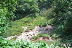 白湯山自然観察路(16)