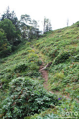 白湯山自然観察路(18)