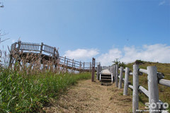 白湯山自然観察路(展望台)