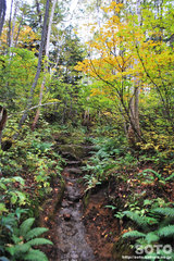 沼の平(登山道1)