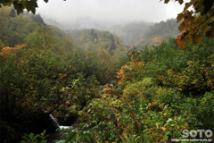 沼の平(登山道9)
