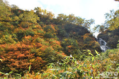 沼の平(登山道13)