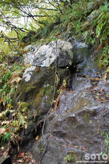 沼の平(登山道16)